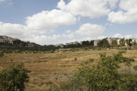 �����: ���� �������