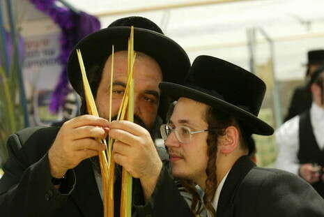 צילום ארכיון: יוסי אלוני צילום ארכיון: יוסי אלוני