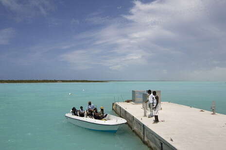 �����: �� ��