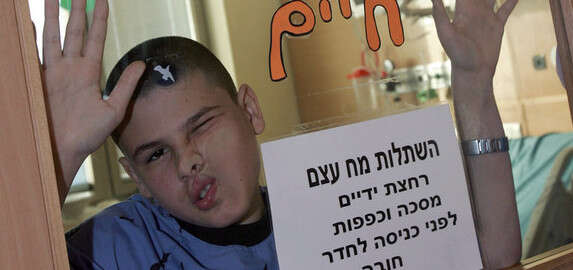 ������ ����