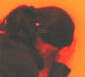 .   : SXC
