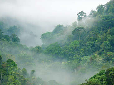 צילום: SHUTTERSTOCK צילום: SHUTTERSTOCK