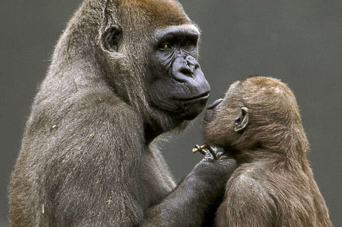 : ' ' , GETTY IMAGES