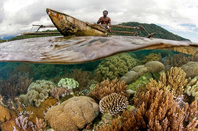 צילום באדיבות סטרלינג זמברון, Conservation International צילום באדיבות סטרלינג זמברון, Conservation International