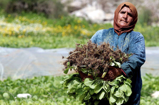 : GETTY IMAGES