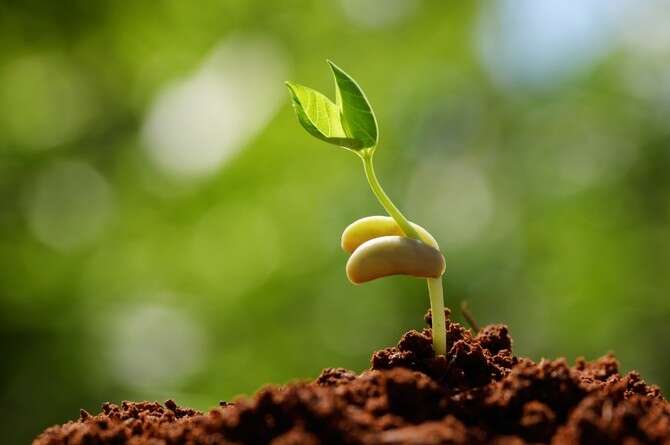 : SHUTTERSTOCK