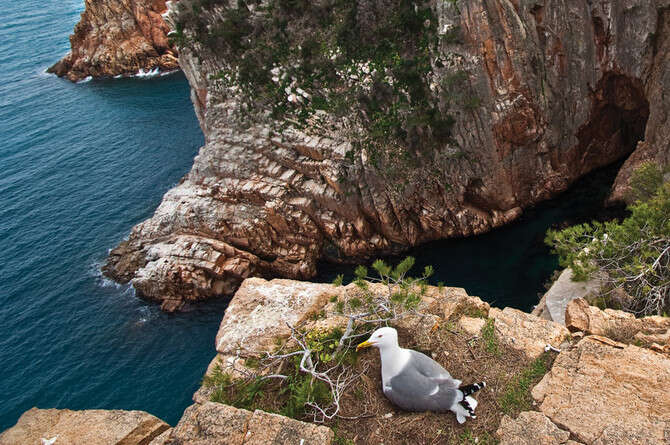 צילום: GETTY IMAGES צילום: GETTY IMAGES