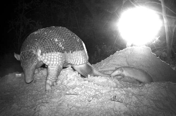 ����� ������� ���� �����