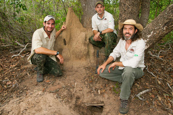 �����: ����� �����