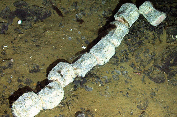   NERC ChEsSo Consortium