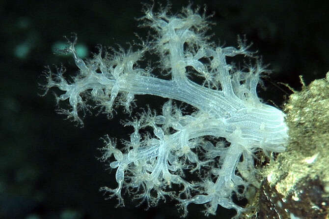 :  , underseahunter.com