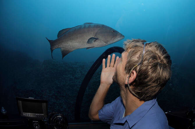 :  , underseahunter.com