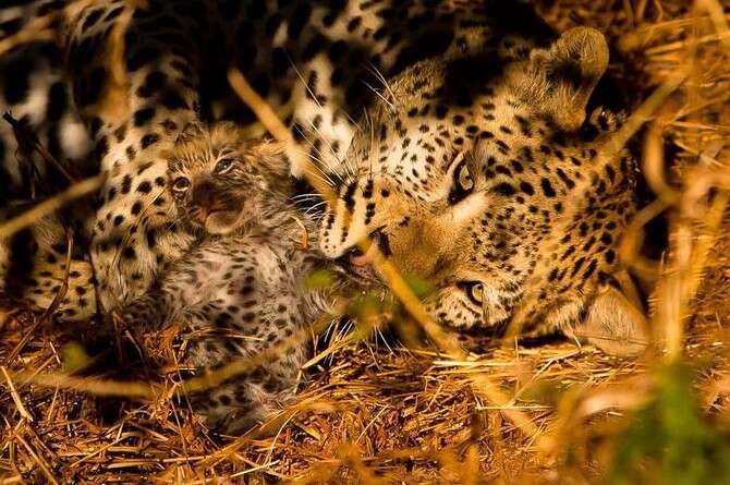 צילום באדיבות ריאן גרין צילום באדיבות ריאן גרין