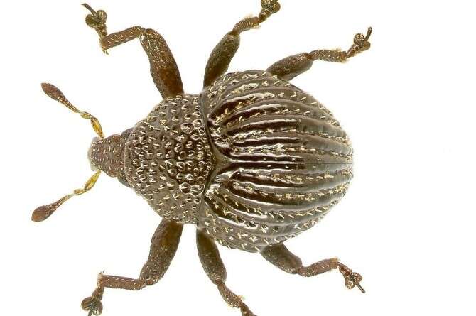 צילום באדיבות אלכסנדר רידל צילום באדיבות אלכסנדר רידל