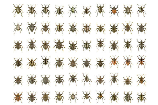 צילום באדיבות אלכסנדר רידל צילום באדיבות אלכסנדר רידל