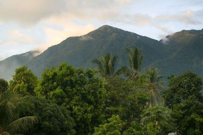 צילום באדיבות אלכסנדר רידל צילום באדיבות אלכסנדר רידל