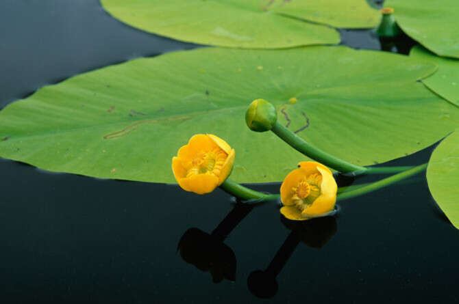 : GETTY IMAGES