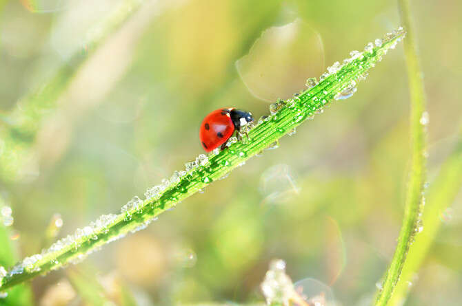 : SHUTTERSTOCK