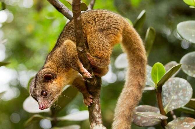 :  , Corbis