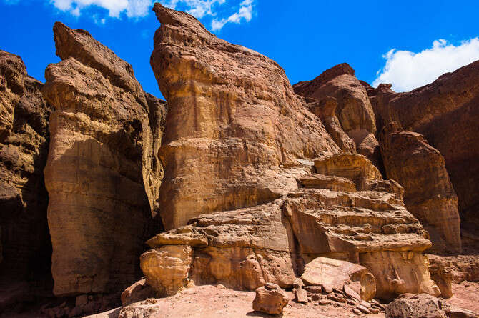 צילום: SHUTTERSTOCK צילום: SHUTTERSTOCK