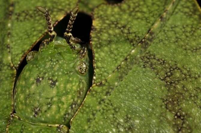 �����: �������� �����, ������ �'�������� 