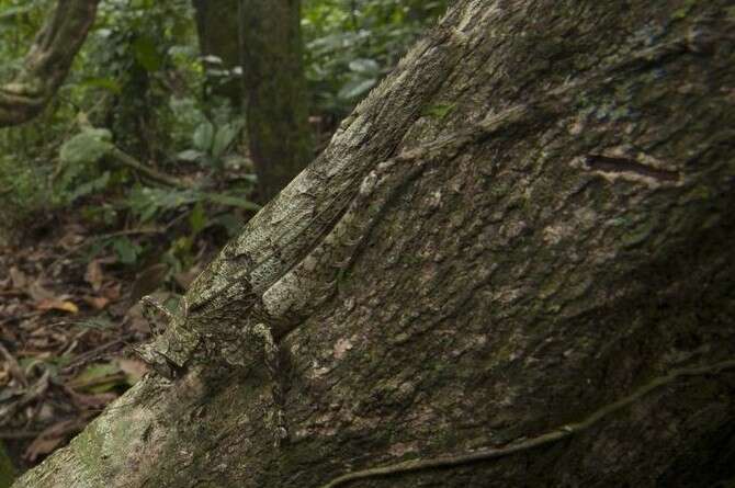 �����: �������� �����, ������ �'�������� 