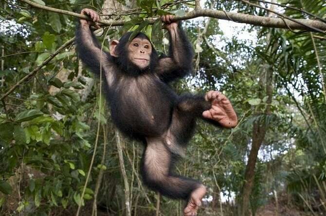 :  , NATIONAL GEOGRAPHIC CREATIVE