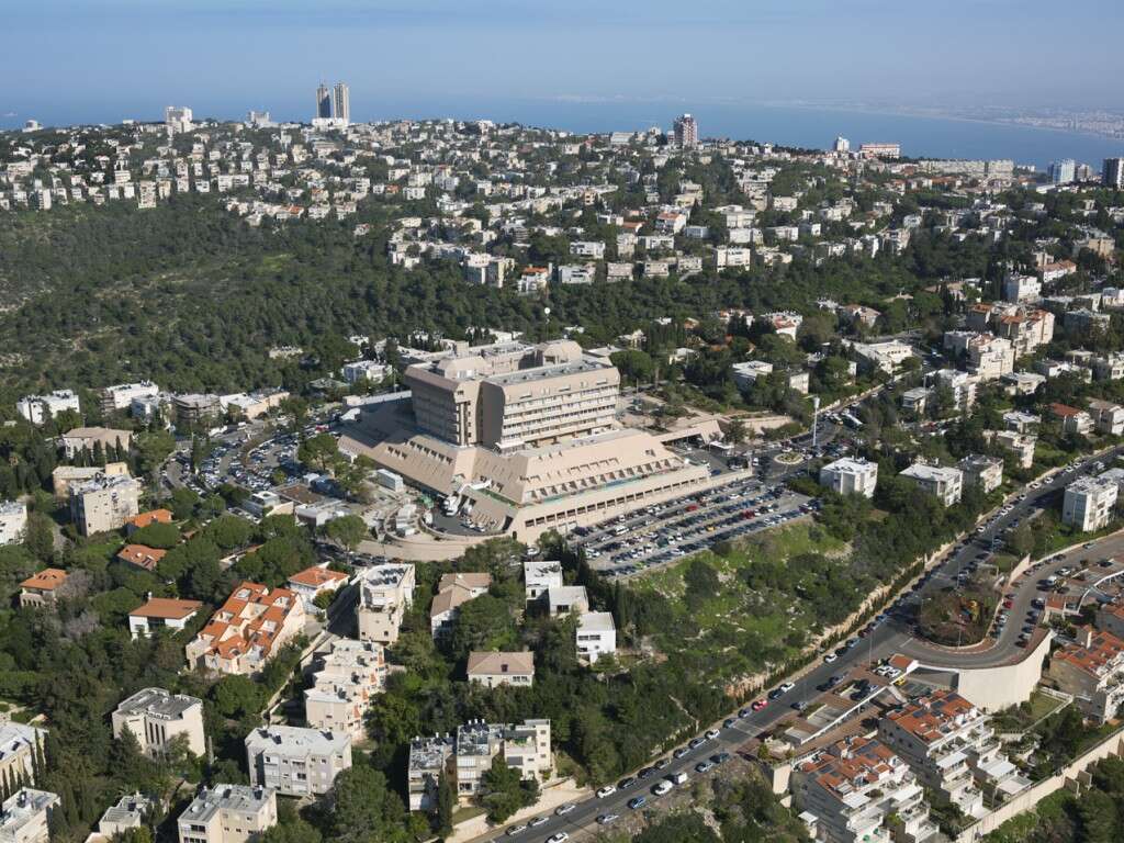 צילום אלי דדון