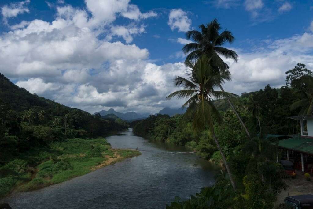 �����: ��� �����