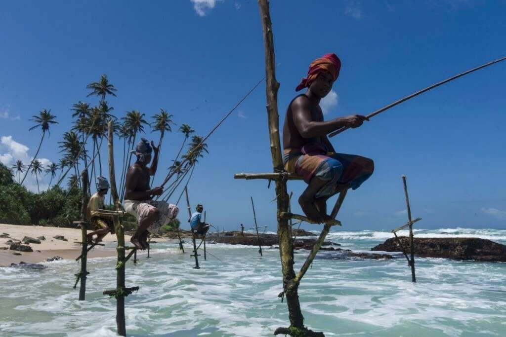 �����: ��� �����