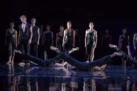 צילום: Gert Weigelt צילום: Gert Weigelt