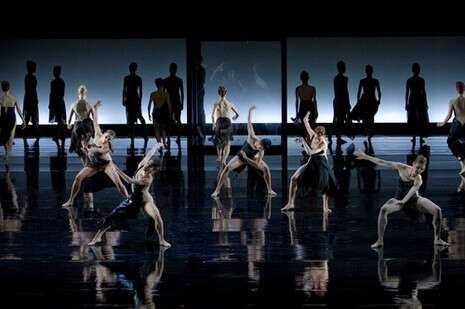 צילום: Gert Weigelt צילום: Gert Weigelt