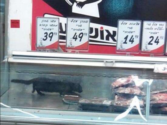 אושר עד / צילום: גלובס אושר עד / צילום: גלובס