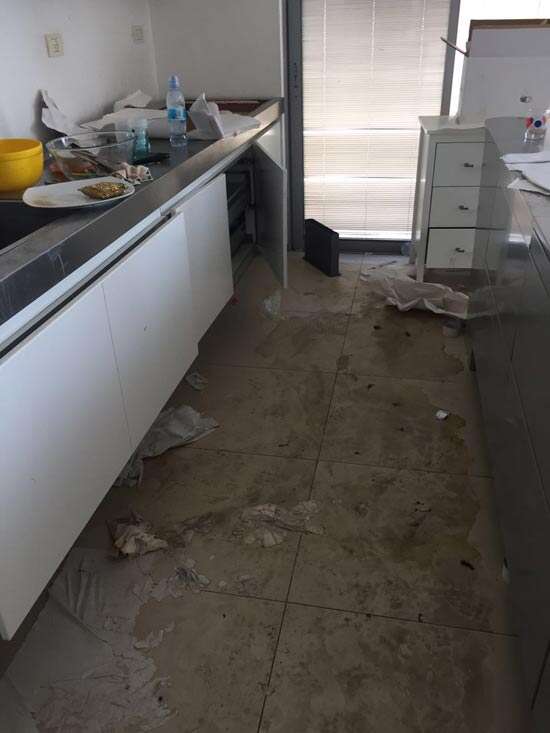 ענבל אור דירה / צילום: יחצ ענבל אור דירה / צילום: יחצ