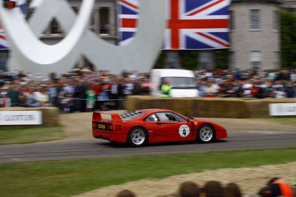 goodwood_festival_by_noam_wind_044