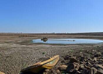 צילום: גיל אליהו/ג'יני