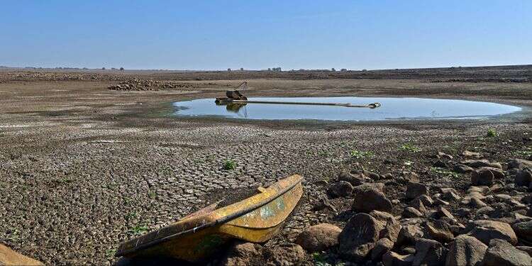 צילום: גיל אליהו/ג'יני
