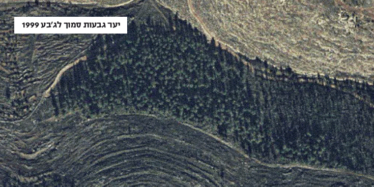 יער גבעות לפני ואחרי. צילום: באדיבות בית הספר כפר עציון