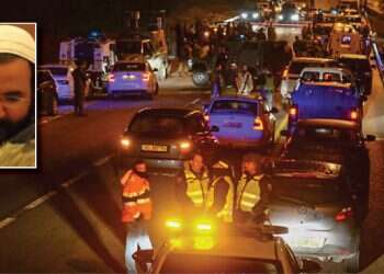 צילום: מאיר לביא/TPS