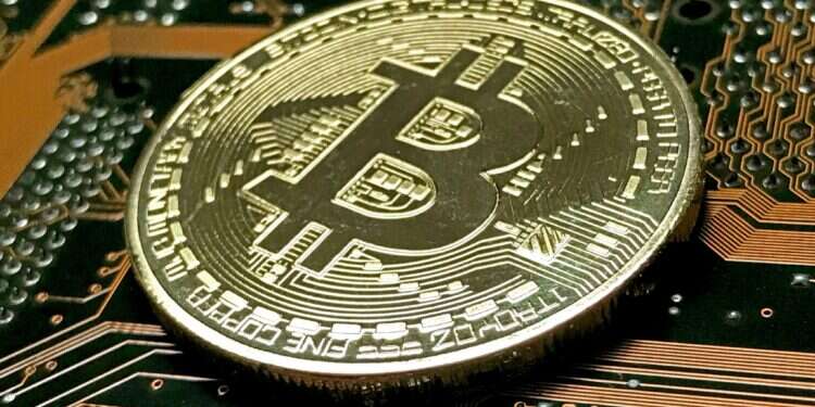 צילום: EPA צילום: EPA