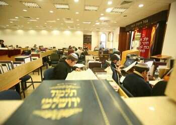 צילום: מירי צחי