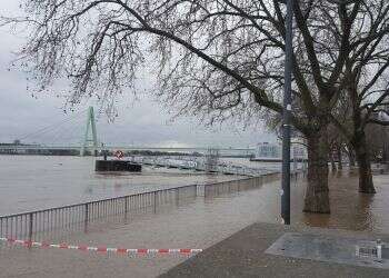 צילום: יאיר קראוס