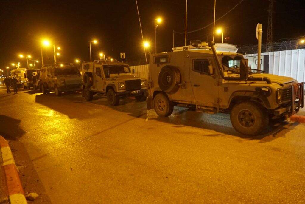 צילום: דו"צ