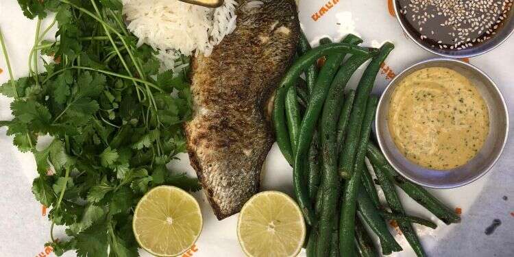 צילום: חן קורן