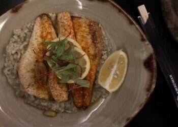 צילום: חן קורן