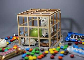 איור: יבגני זלטופולסקי