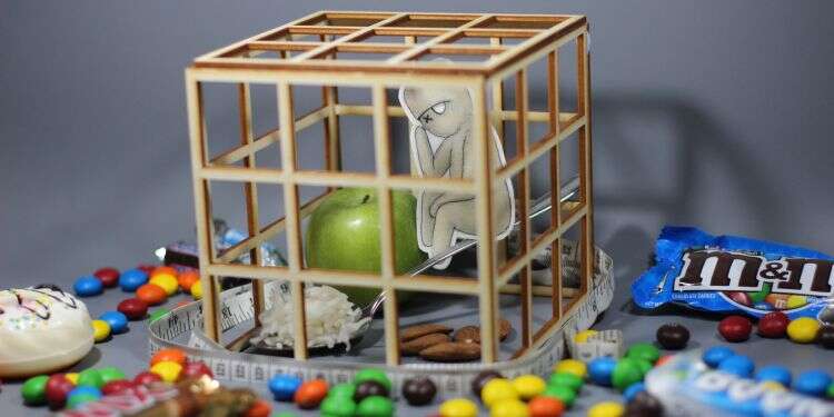 לא השמנתי. ואם השמנתי, אז מה קרה. איור: יבגני זלטופולסקי איור: יבגני זלטופולסקי