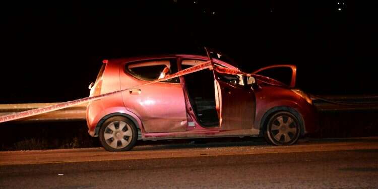 צילום: מאיר לביא/TPS