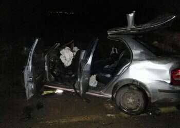 צילום: הצלה ללא גבולות יו''ש