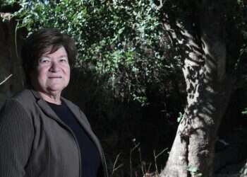 צילום: מרים צחי